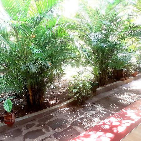 Palitha Homestay Sigiriya Eksteriør bilde