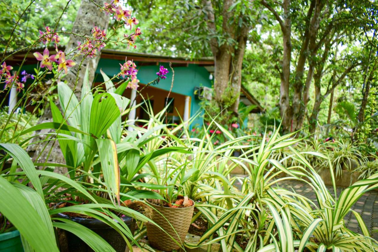 Palitha Homestay Sigiriya Eksteriør bilde