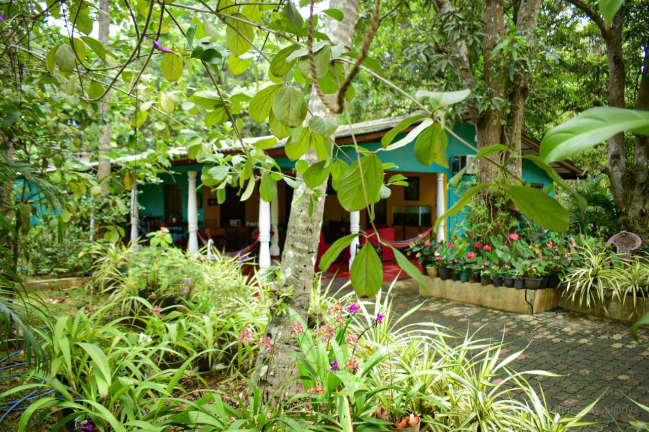 Palitha Homestay Sigiriya Eksteriør bilde