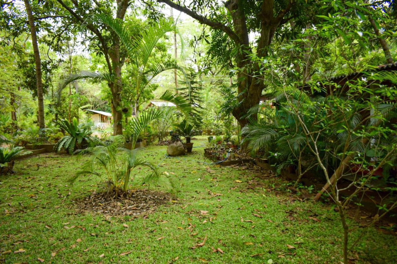 Palitha Homestay Sigiriya Eksteriør bilde