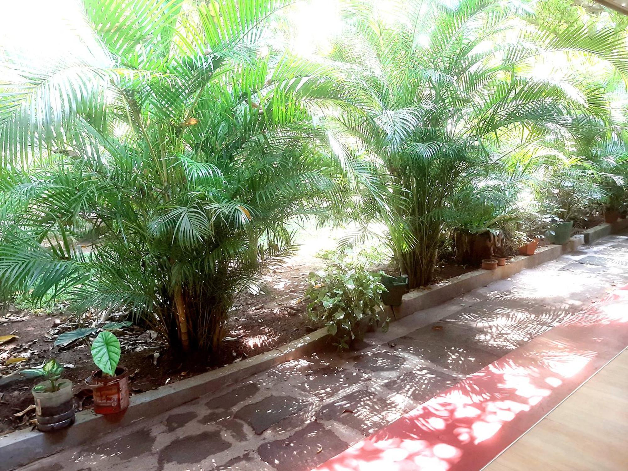 Palitha Homestay Sigiriya Eksteriør bilde