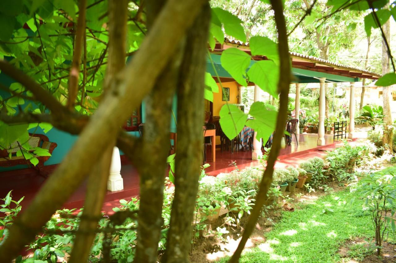 Palitha Homestay Sigiriya Eksteriør bilde